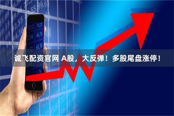 诚飞配资官网 A股，大反弹！多股尾盘涨停！