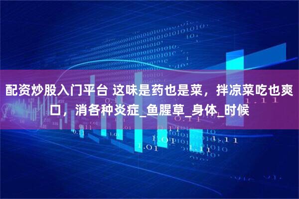 配资炒股入门平台 这味是药也是菜，拌凉菜吃也爽口，消各种炎症_鱼腥草_身体_时候
