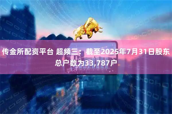 传金所配资平台 超频三：截至2025年7月31日股东总户数为33,787户