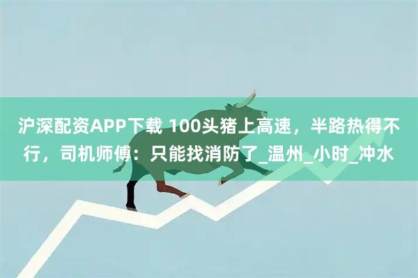沪深配资APP下载 100头猪上高速，半路热得不行，司机师傅：只能找消防了_温州_小时_冲水