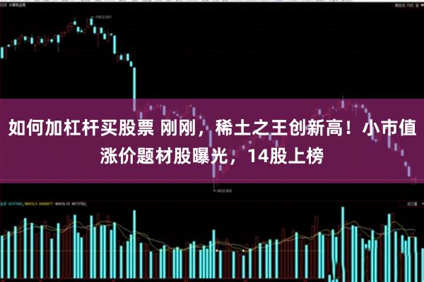 如何加杠杆买股票 刚刚，稀土之王创新高！小市值涨价题材股曝光，14股上榜
